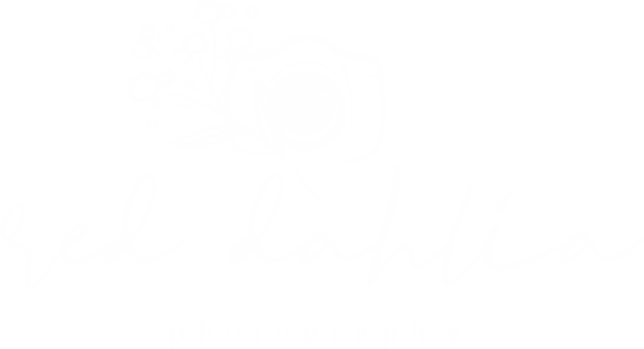 Red Dahlia Photography